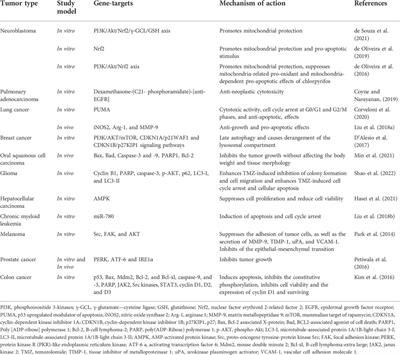 Modern aspects of the use of natural polyphenols in tumor prevention and therapy